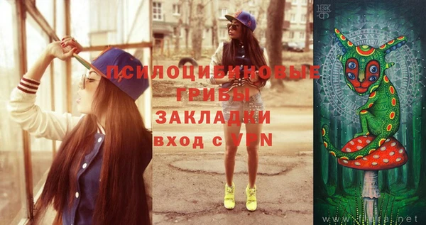 альфа пвп Горнозаводск