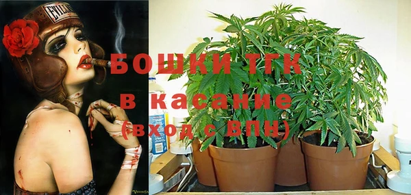 альфа пвп Горнозаводск